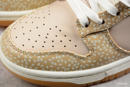 DZ4853-200 Montreal Nike Low Dunk Bagel Sesame 0225